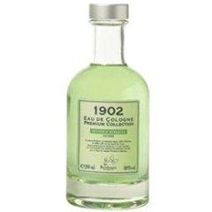 1902 - Vetiveria Herbacea