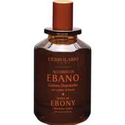Accordo di Ebano