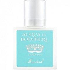 Acqua di Bolgheri - Maestrale