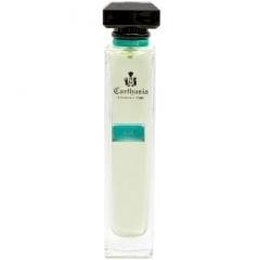 Acqua di Carthusia - Aloe Vera