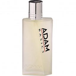 Adam Basics