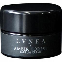 Amber Forest