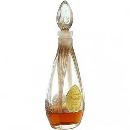 Ambre d'Orient