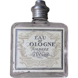 Ambre d'Orsay
