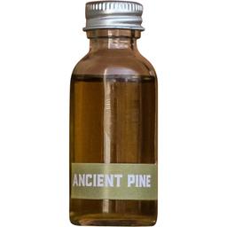 Ancient Wood