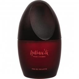 Anthracite pour l'Homme