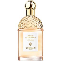 Aqua Allegoria Pamplelune