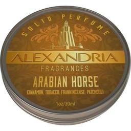 Arabian Horse