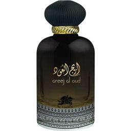 Areej Al Oud