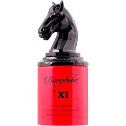 Armaf Niche - Bucephalus No. XI