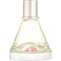 Ascent To Love