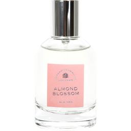 Balearic Elements - Almond Blossom