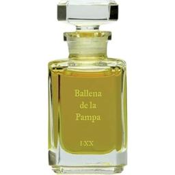 Ballena de la Pampa