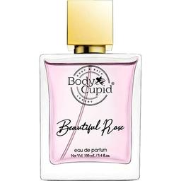 Beautiful Rose