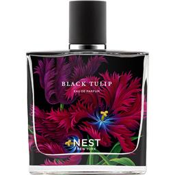 Black Tulip