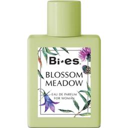 Blossom Meadow