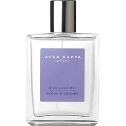 Blue Lavender