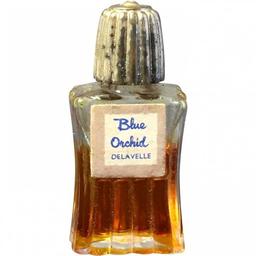 Blue Orchid