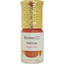 Borneo22