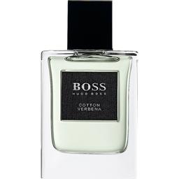 Boss Collection - Cotton Verbena