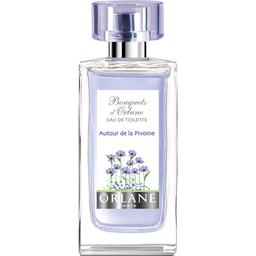 Bouquets d'Orlane - Autour de la Pivoine