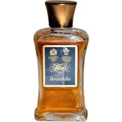 Bouvardia