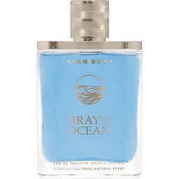 Bray's Ocean