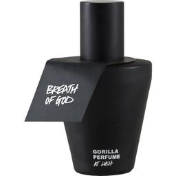 Breath of God