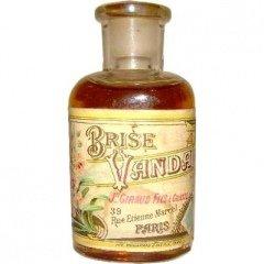 Brise Vanda