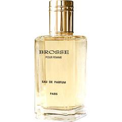Brosse pour Femme