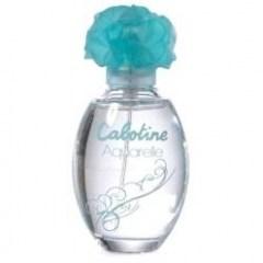Cabotine Aquarelle