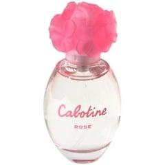 Cabotine Rose