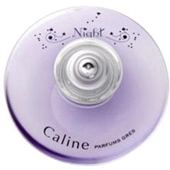 Caline Night