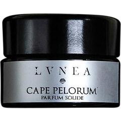 Cape Pelorum