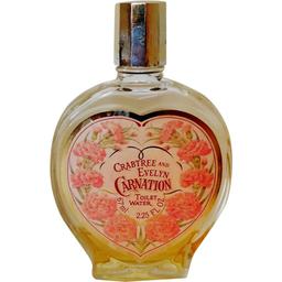 Carnation