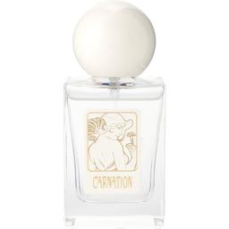 Carnation