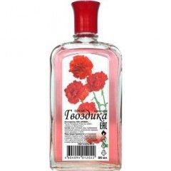 Carnation