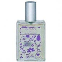 Cashmere Iris