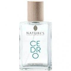 Cedro Uomo