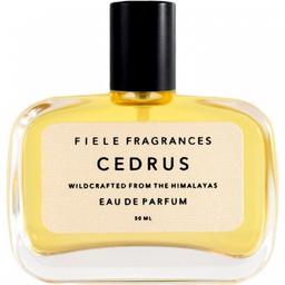 Cedrus