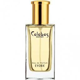 Celebes