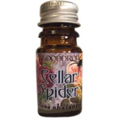 Cellar Spider