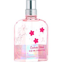 Cerisier Irisé