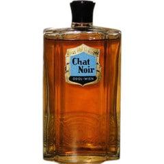 Chat Noir