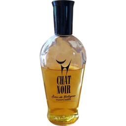 Chat Noir