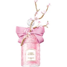 Cherry Blossom 2023