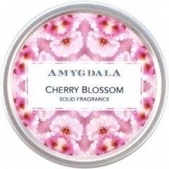 Cherry Blossom