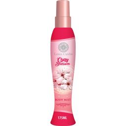 Cherry Blossom