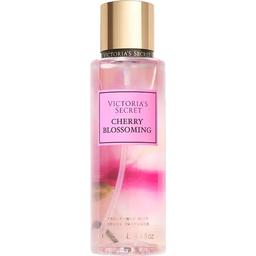 Cherry Blossoming