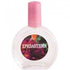 Chrysanthemum
